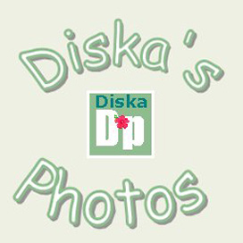 logo_diska.jpg